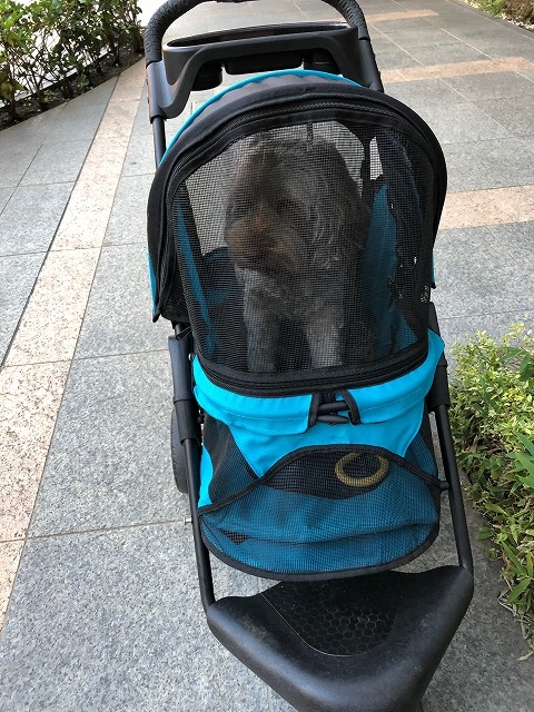 【犬用カート】犬が自分で乗り降り出来て、移動し易い車輪の優れ物 - オーストラリアンラブラドゥードルの里親ブログ
